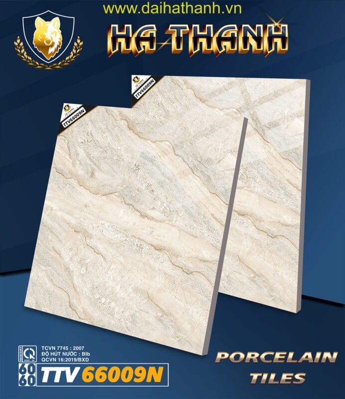 Gạch lát nền TTV66009N