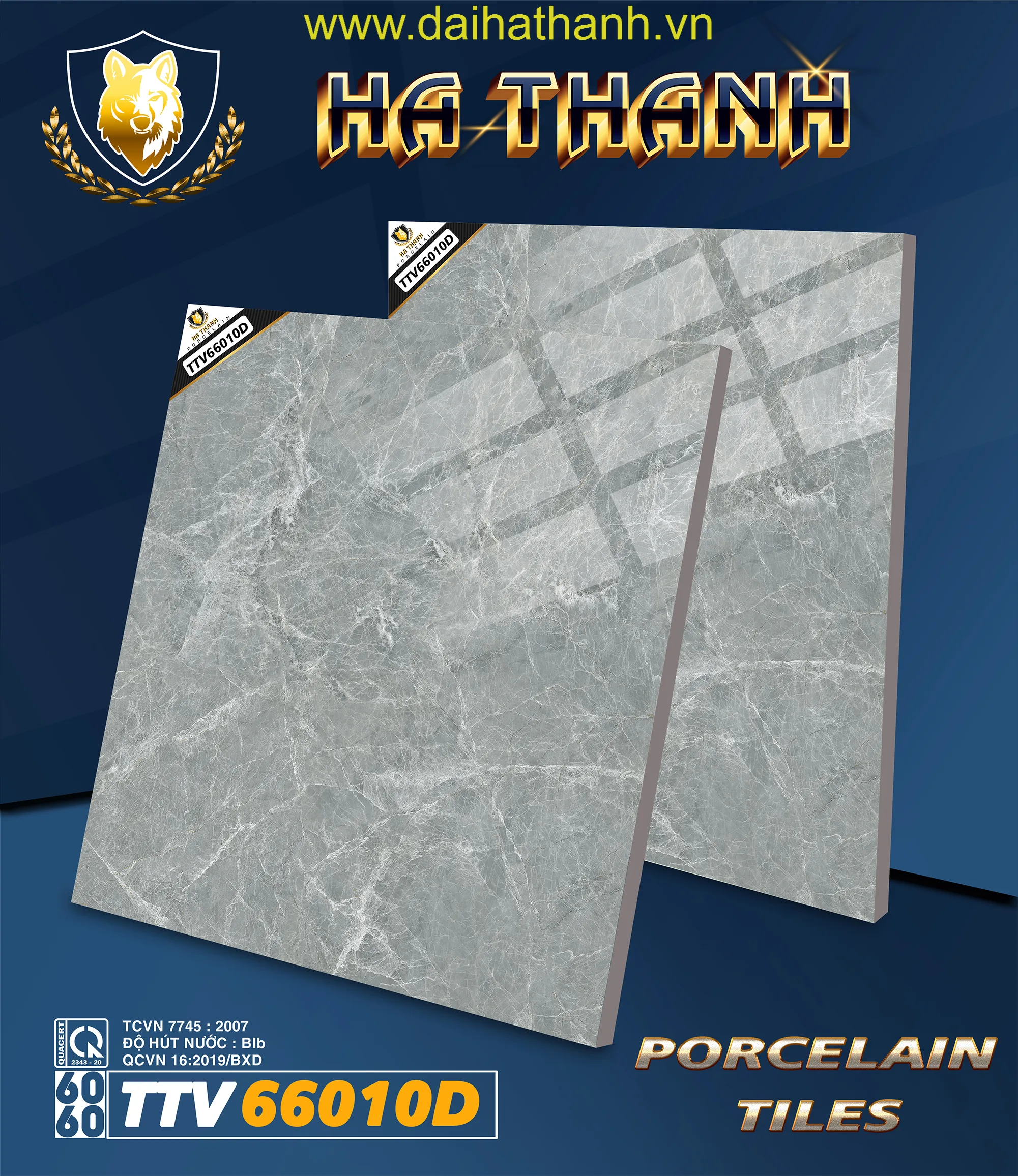 Gạch lát nền TTV66010D
