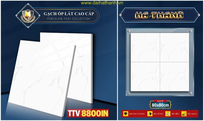 Gạch lát nền TTV88001N