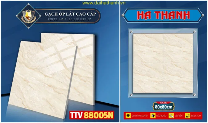 Gạch lát nền TTV88005N