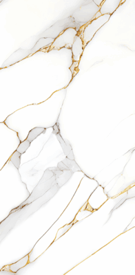 Gạch ốp tường VC12661