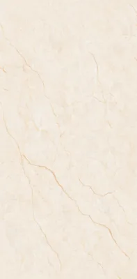 Gạch ốp tường VC12668
